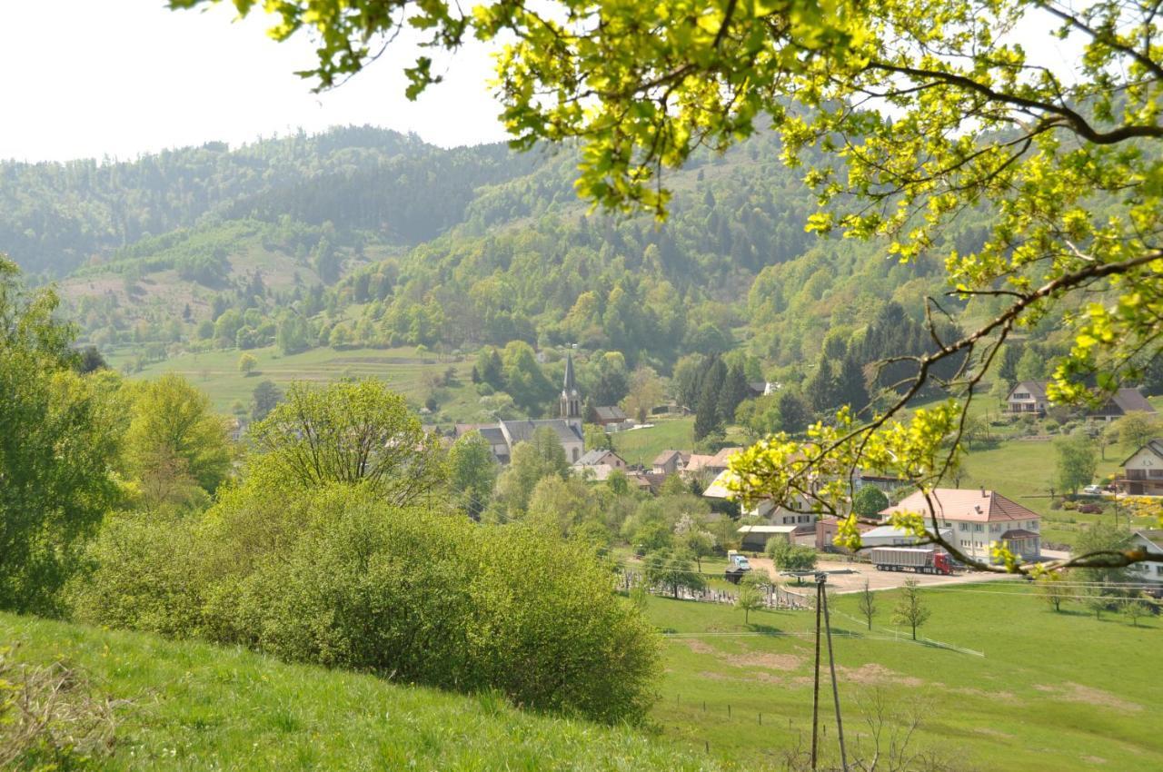 Appartement A Mitzach Exteriér fotografie